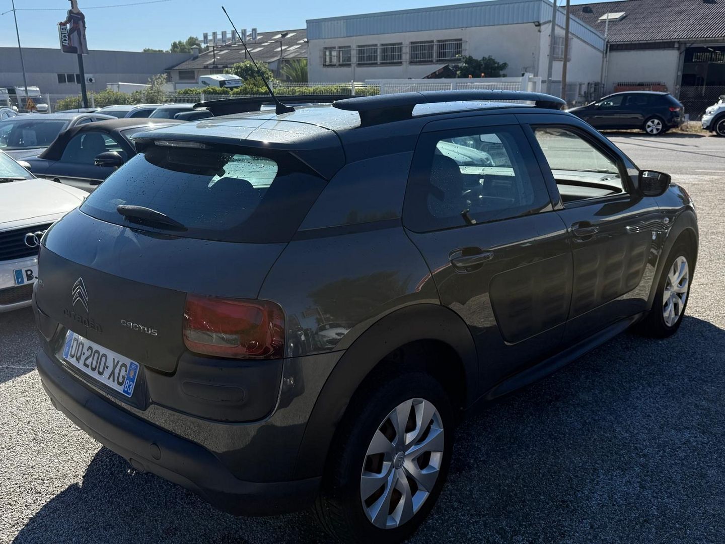 C4 CACTUS