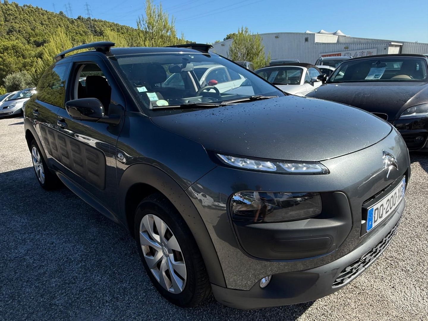 C4 CACTUS