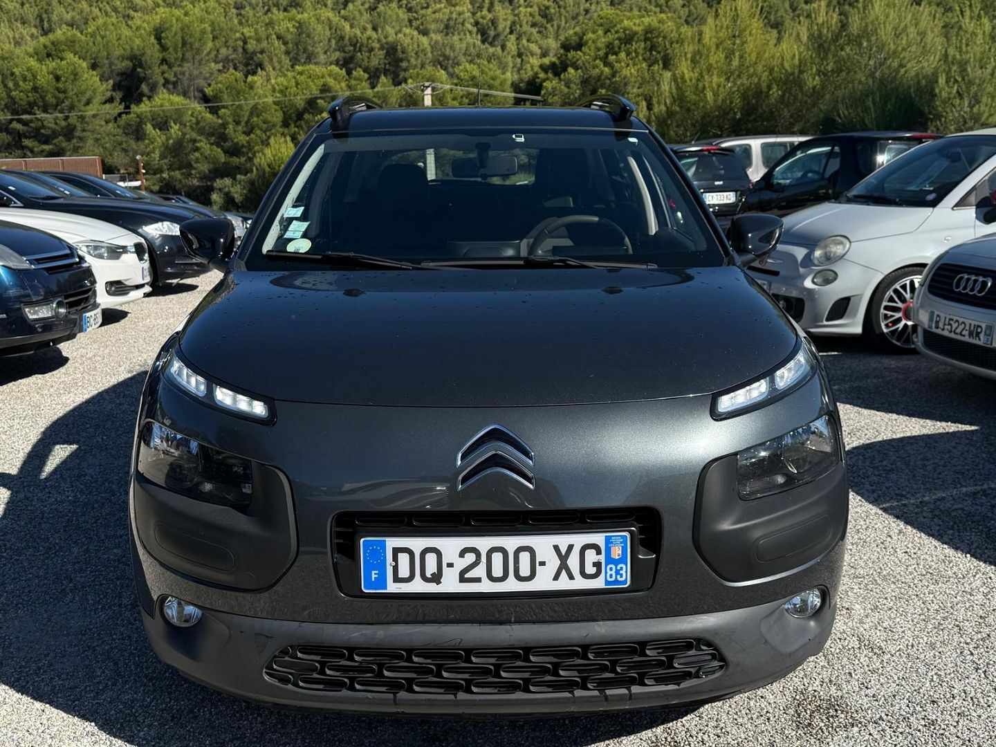 C4 CACTUS