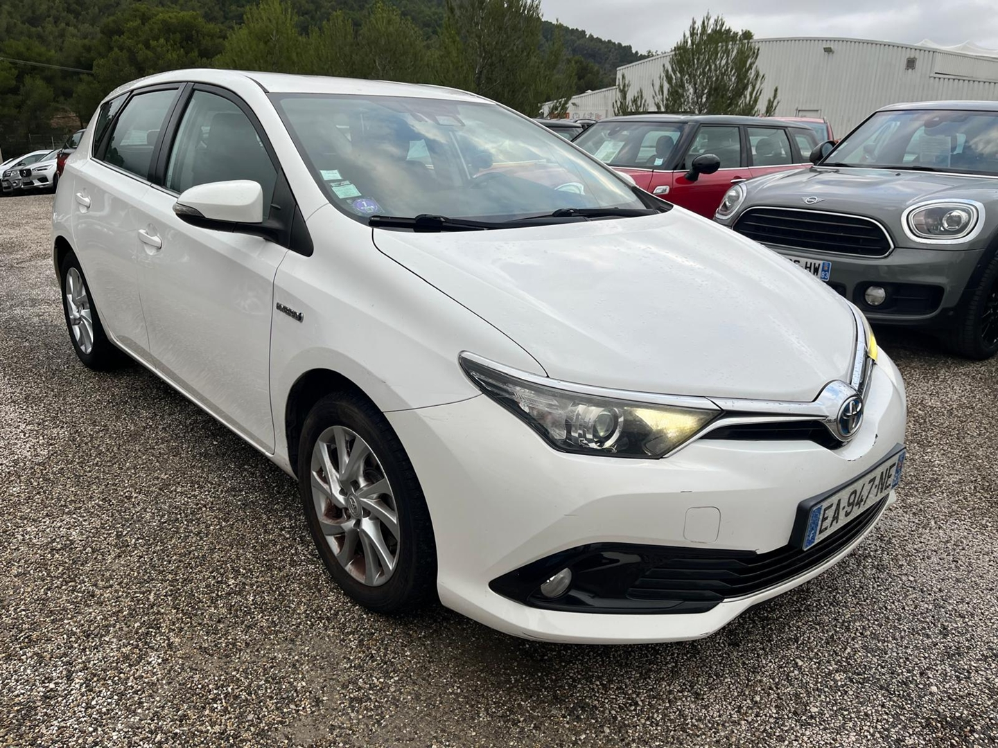 AURIS