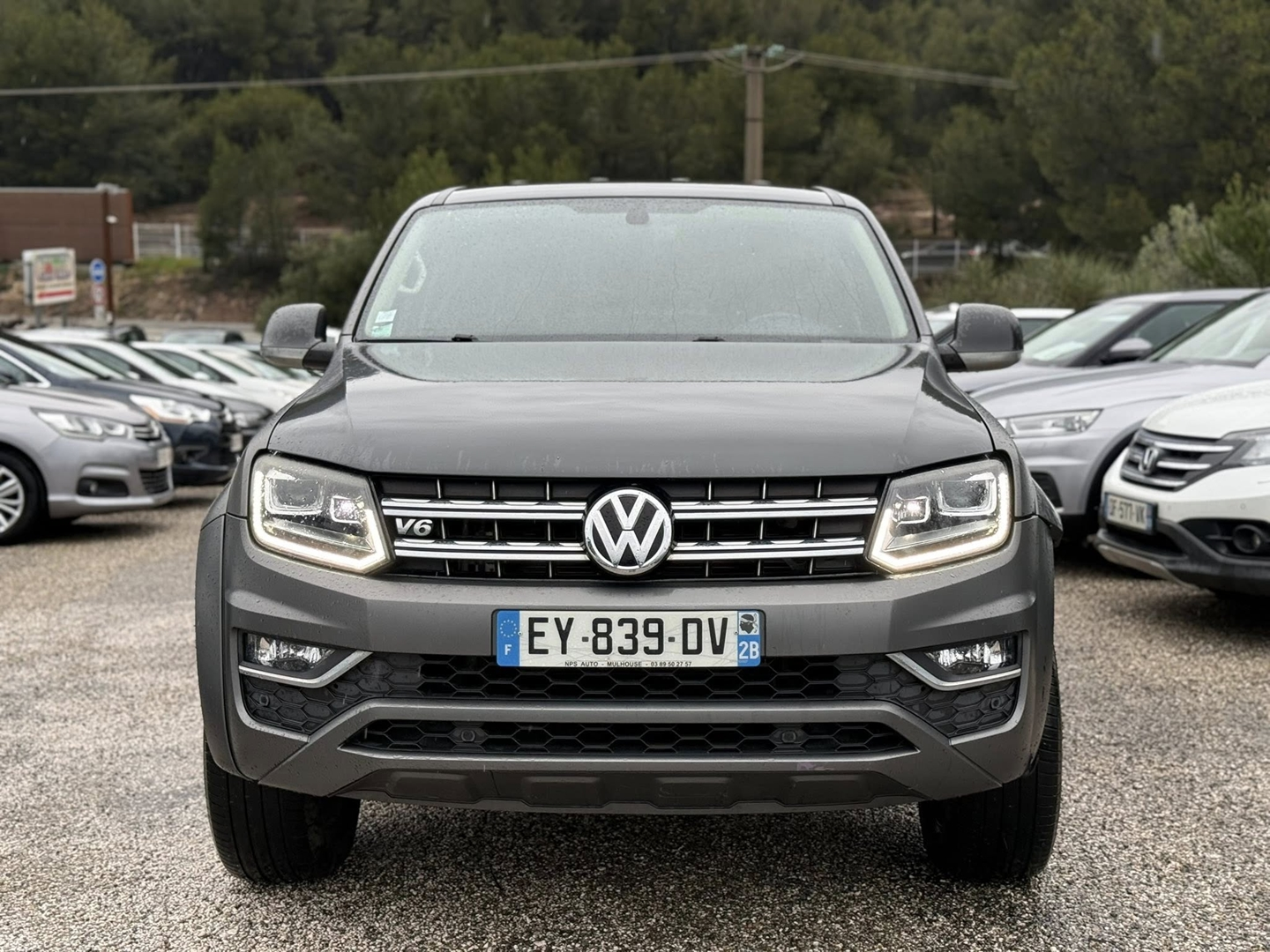 AMAROK