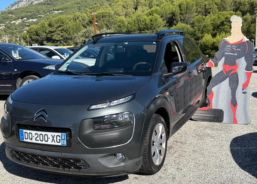 C4 CACTUS