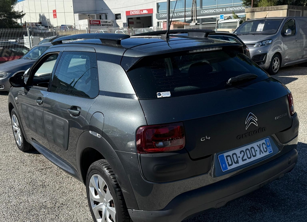 C4 CACTUS