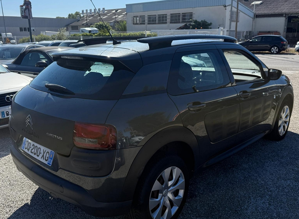 C4 CACTUS