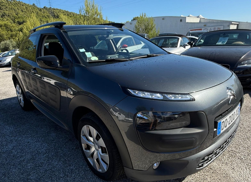 C4 CACTUS