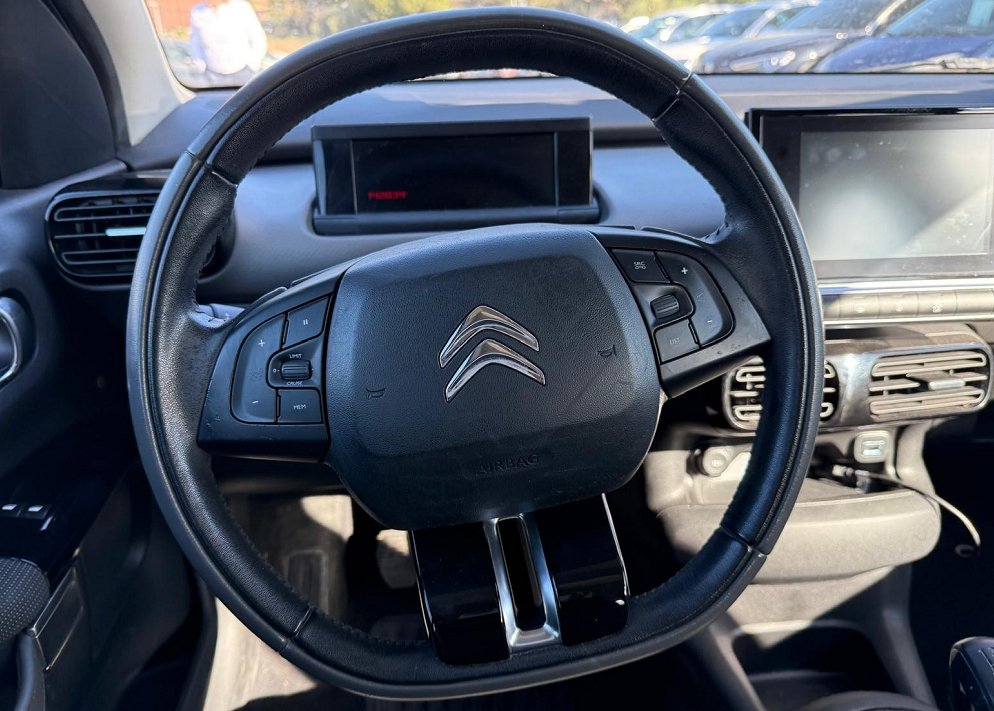 C4 CACTUS