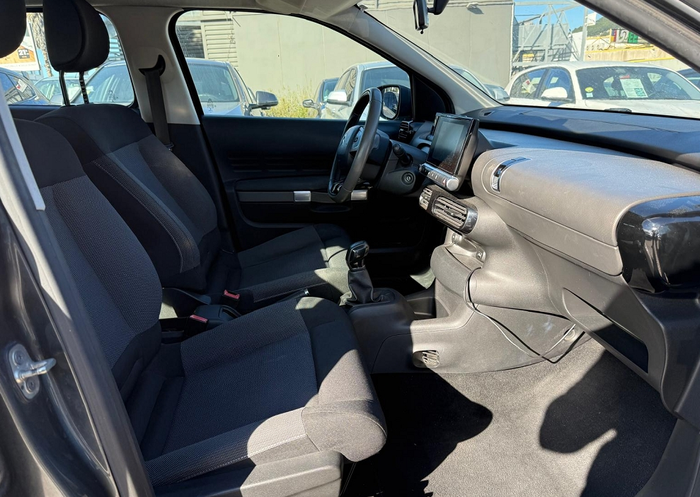 C4 CACTUS