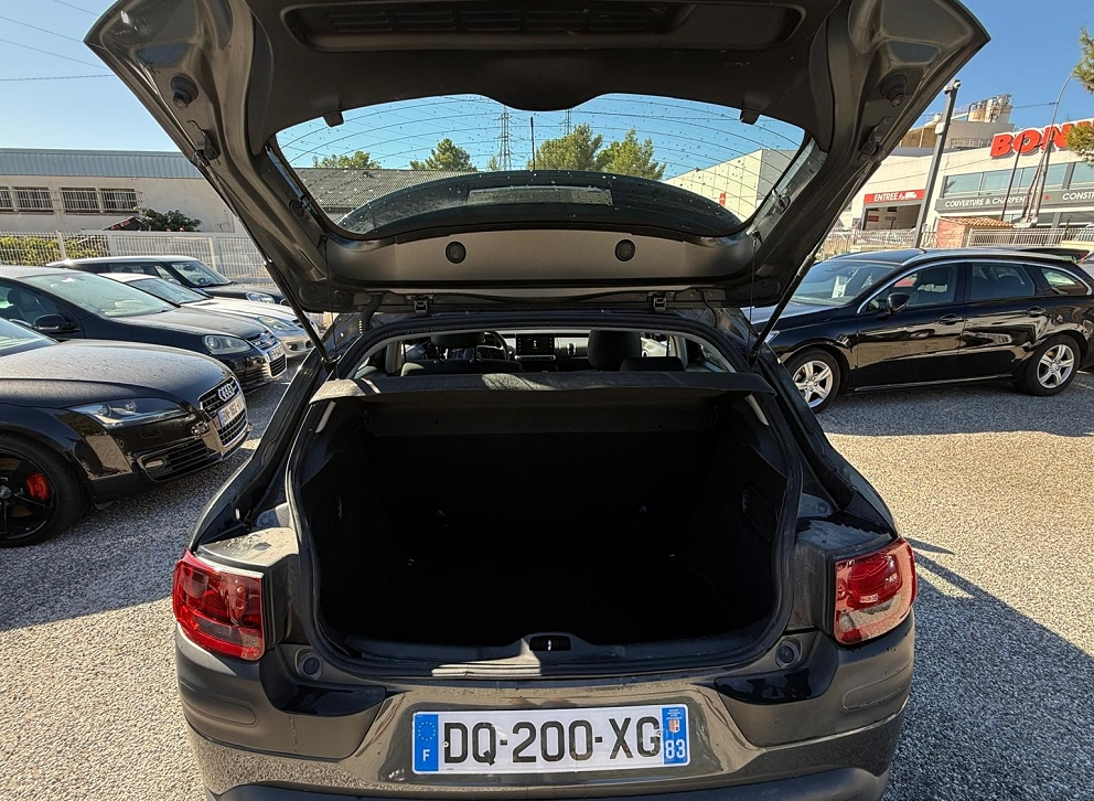 C4 CACTUS