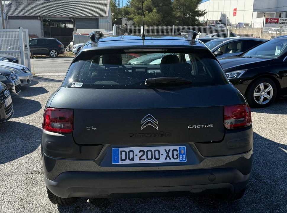 C4 CACTUS