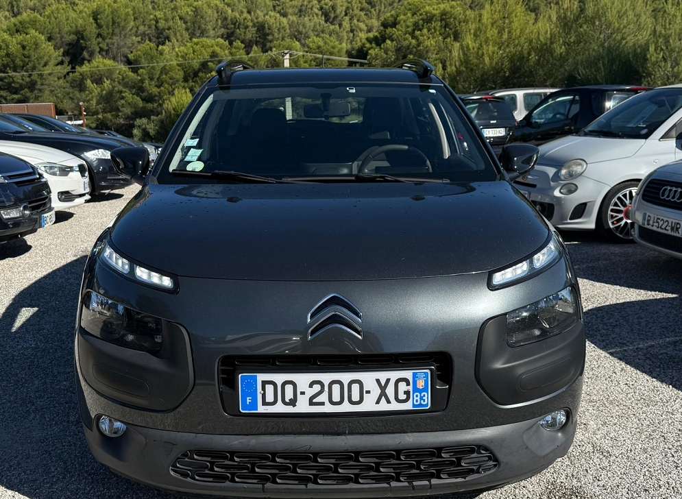 C4 CACTUS