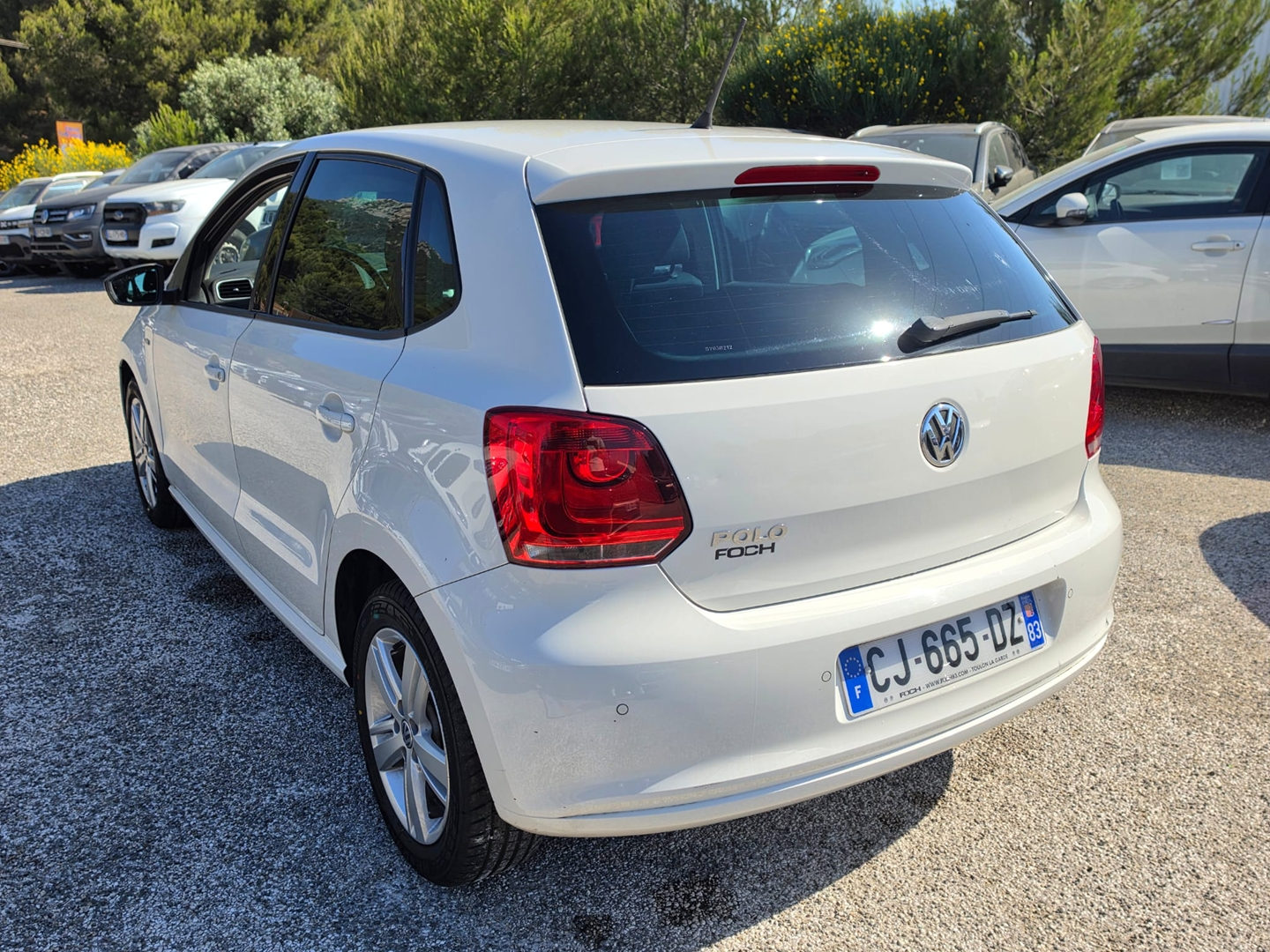 POLO
