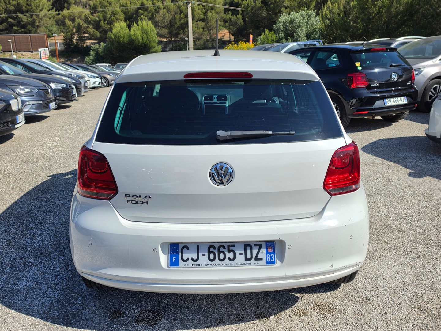 POLO