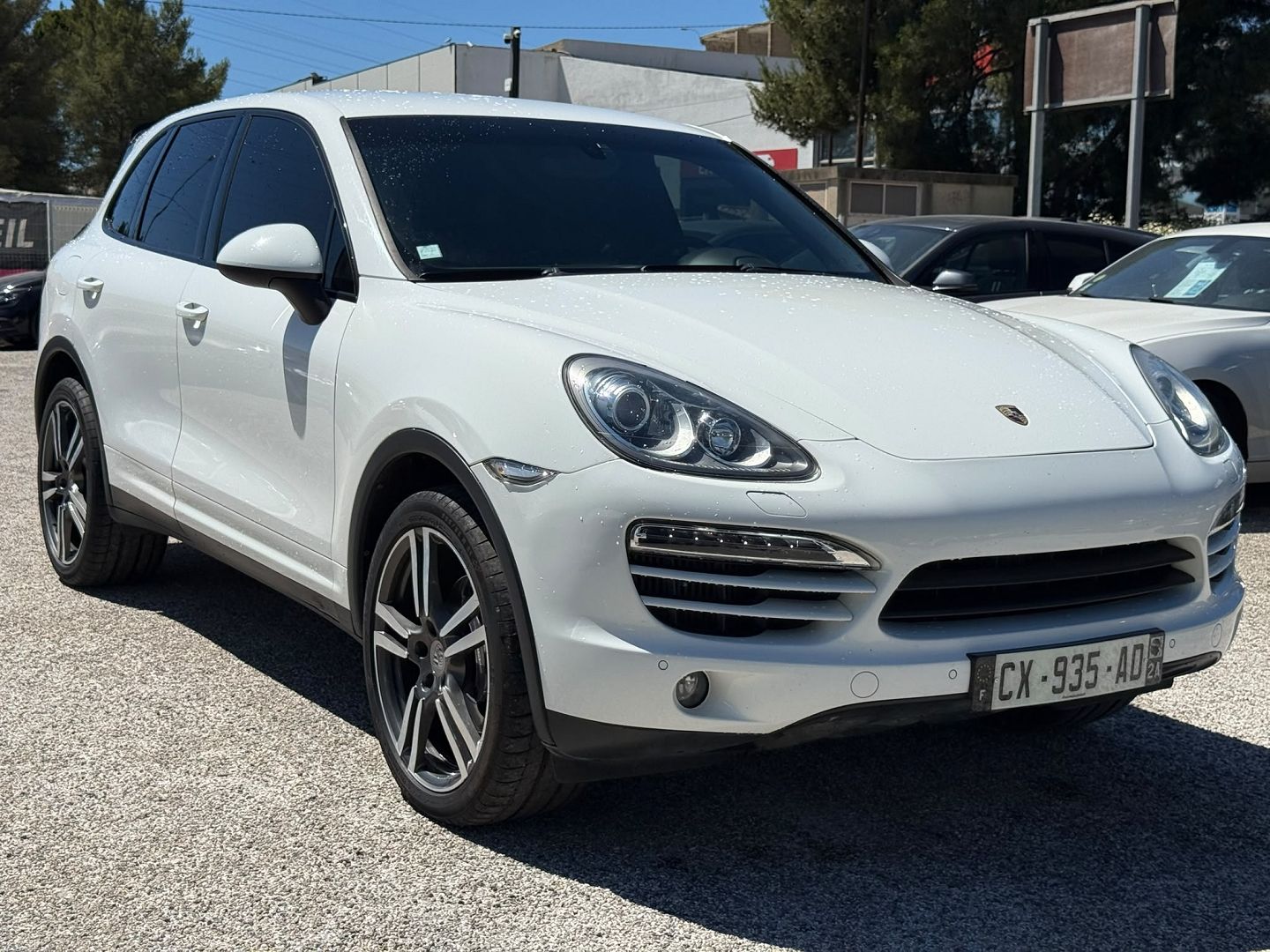 CAYENNE