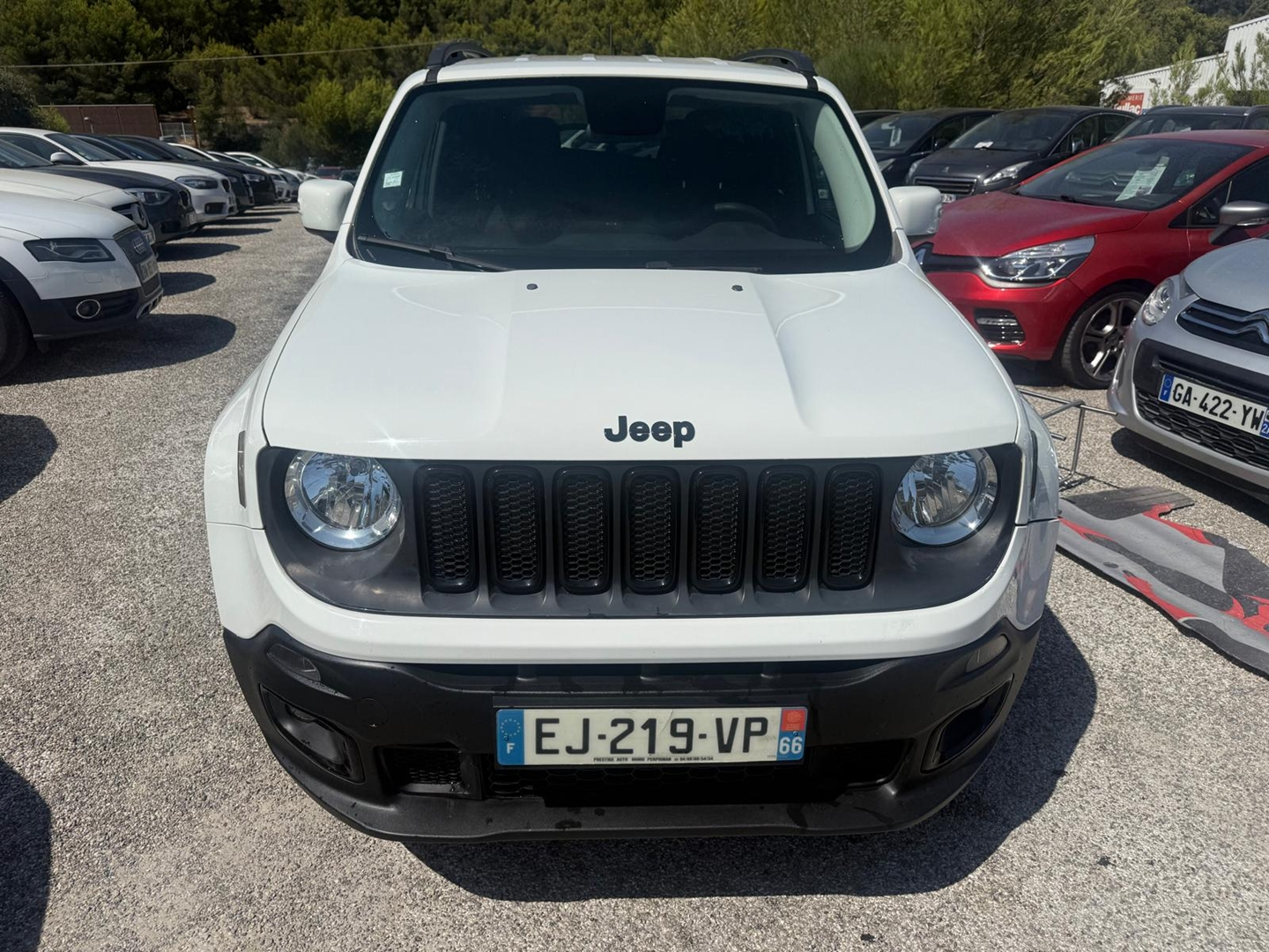 RENEGADE