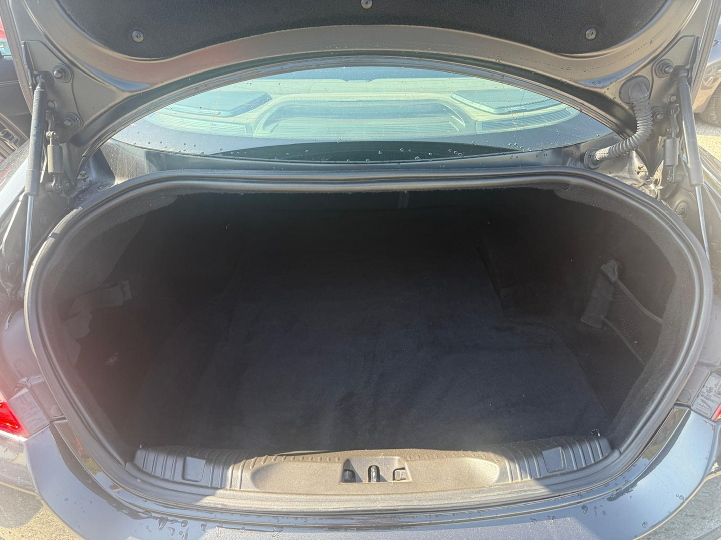 XF