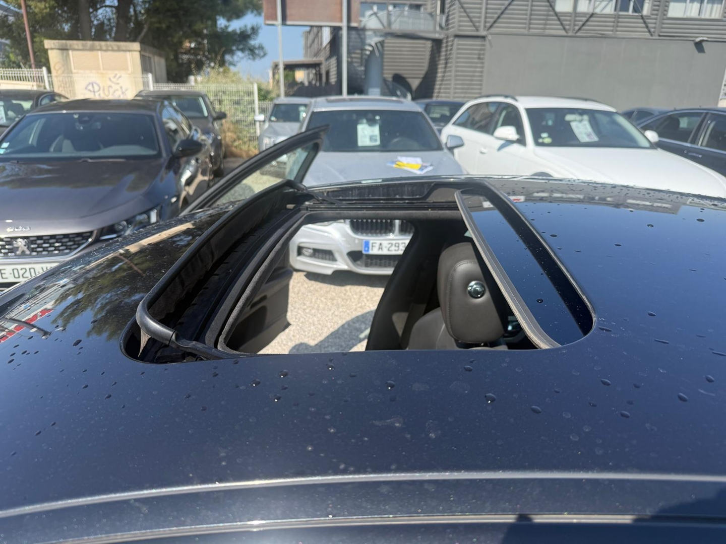 XF