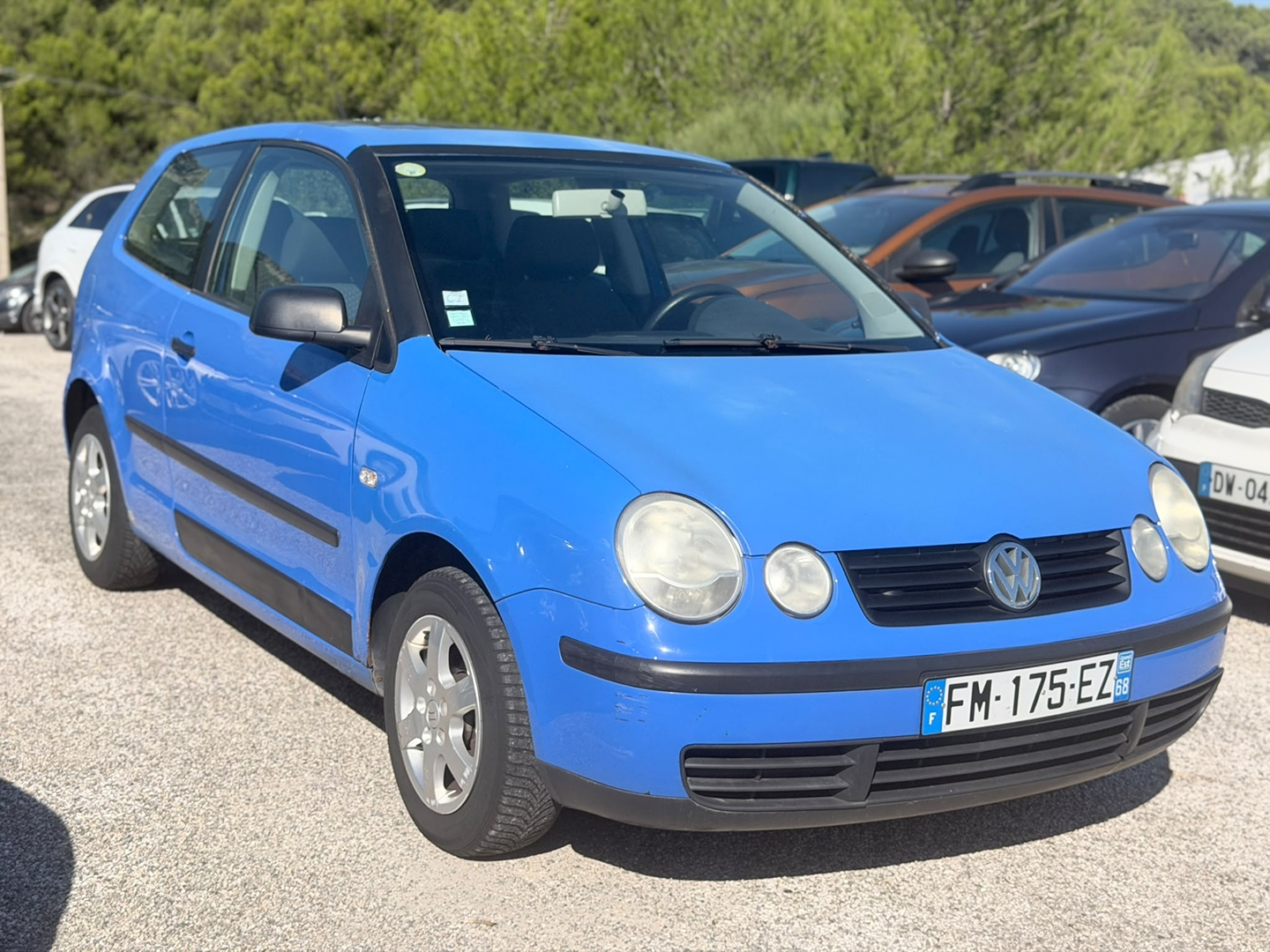POLO
