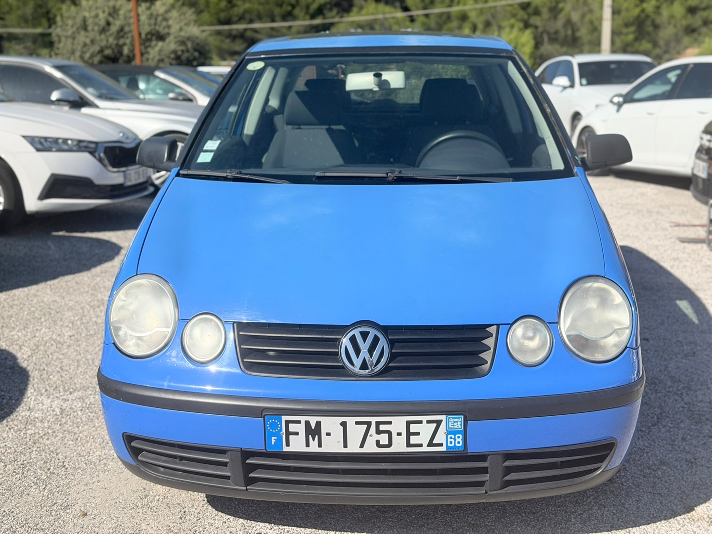 POLO