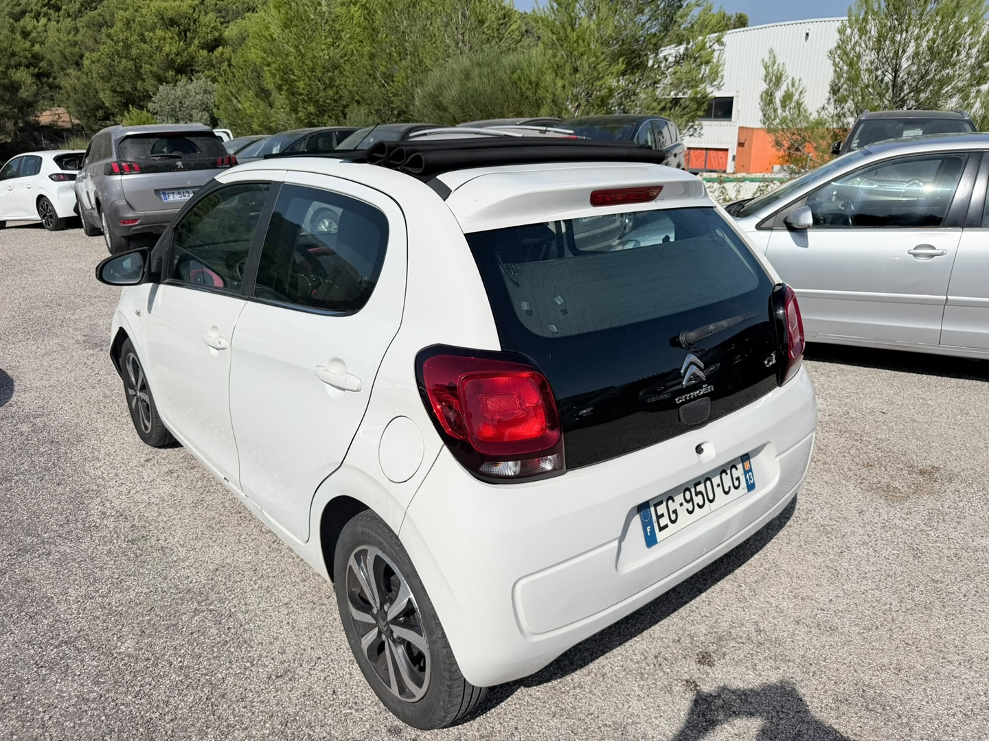 C1