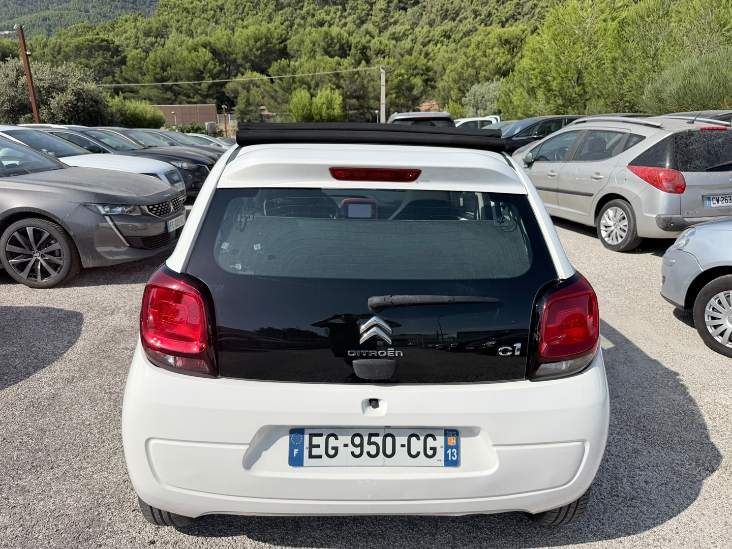 C1