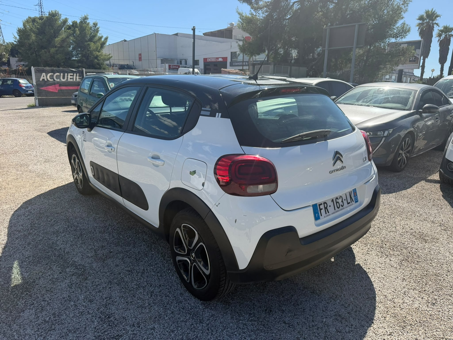 C3