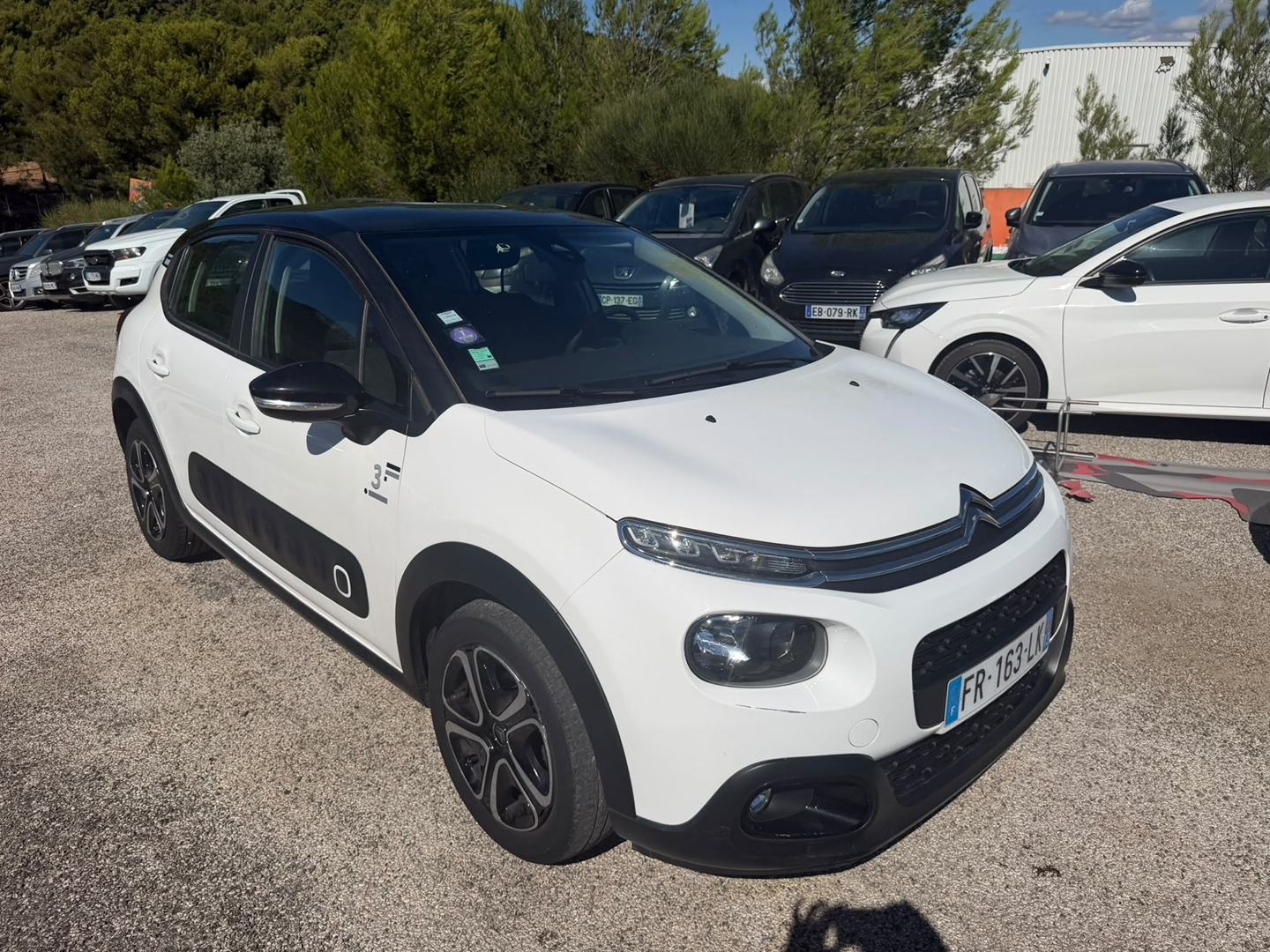 C3