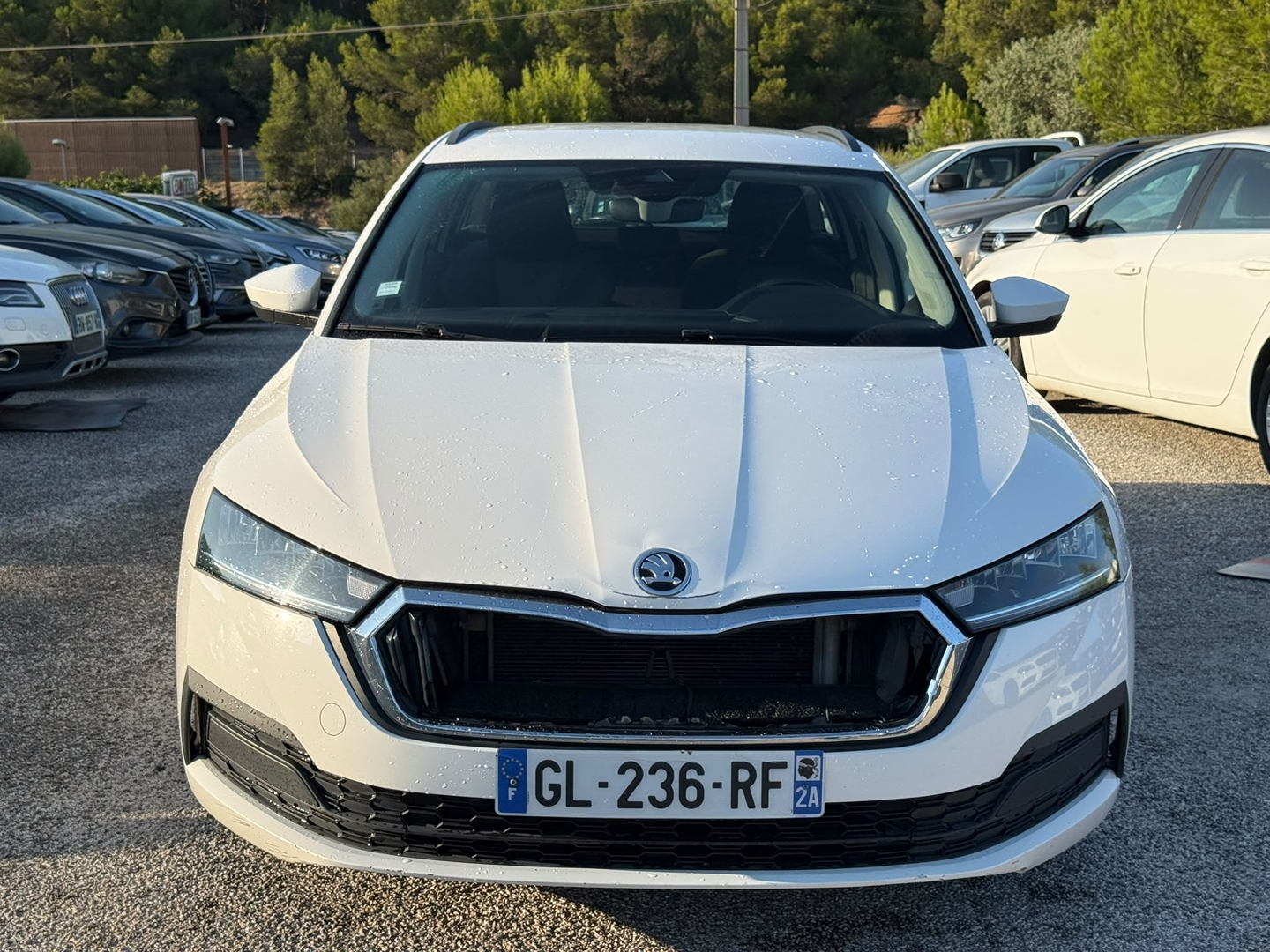 OCTAVIA