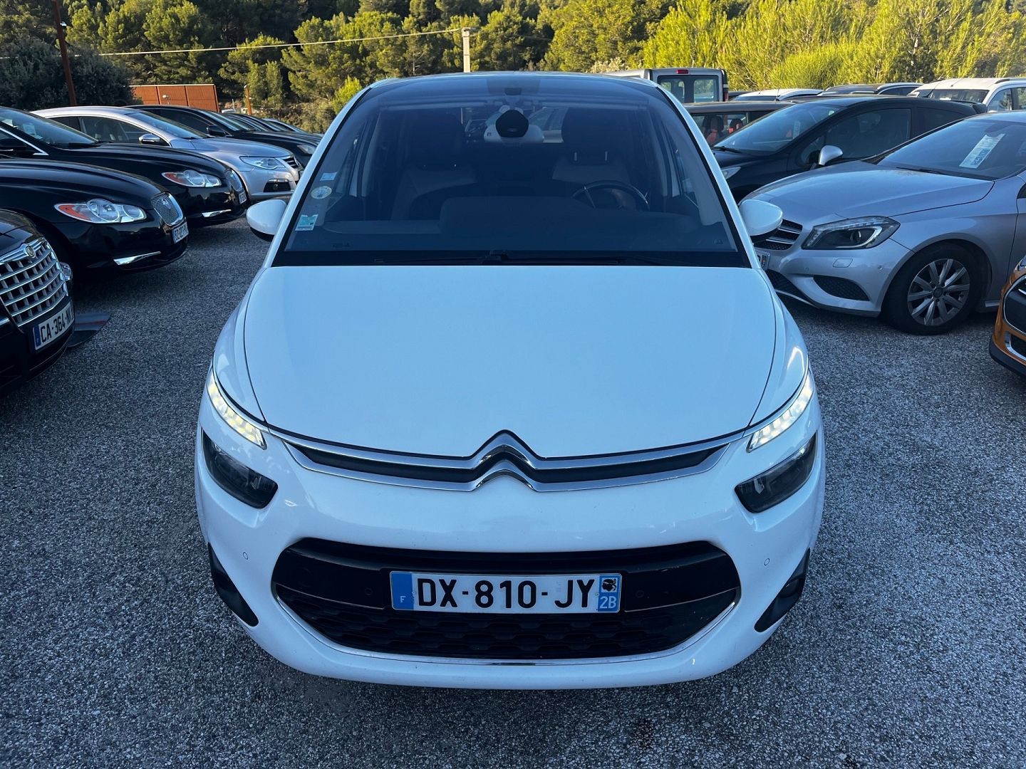 C4 PICASSO